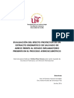 Evaluación Del Efecto Protector de Un Extracto Enzimático de Salvado de Arroz Frente Al Estado Inflamatorio Presente en El Proceso Aterosclerótico