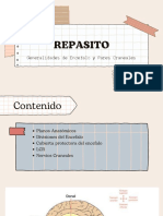 Presentacion para Proyecto Moderna Marron