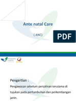 Anc PPT Fix