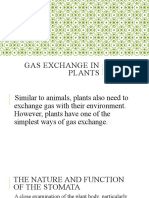 Gas Exchange in Plants