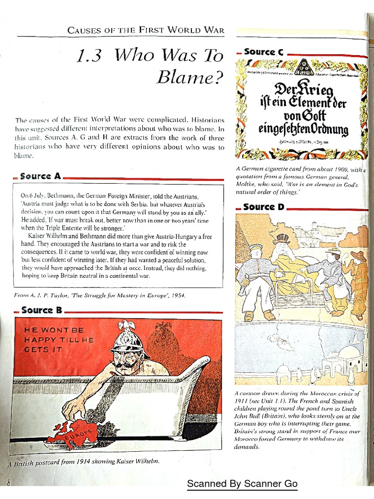 Who Was To Blame For Ww1 Igcse History Grade 9 PDF