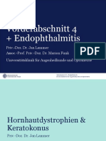 Vo Endophthalmitis Funk