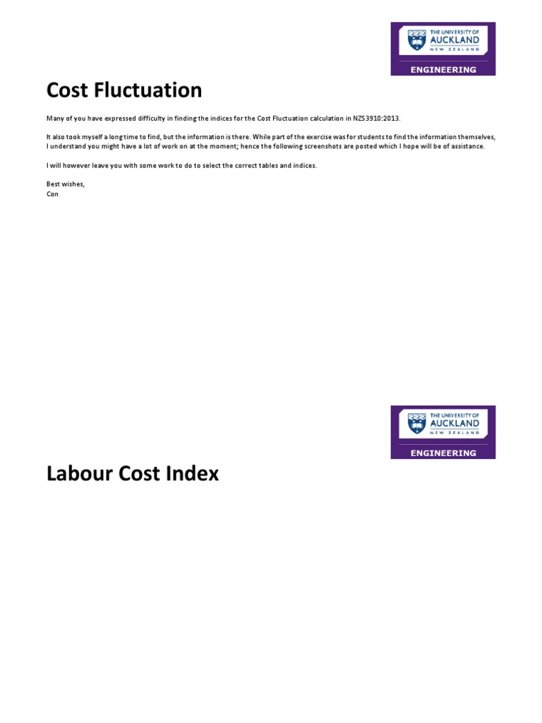 Cost Fluctuation PDF