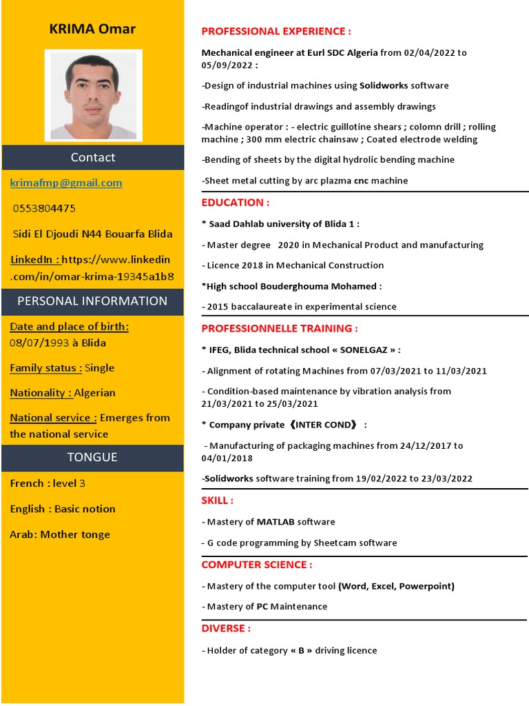 German Cv Vs English Cv