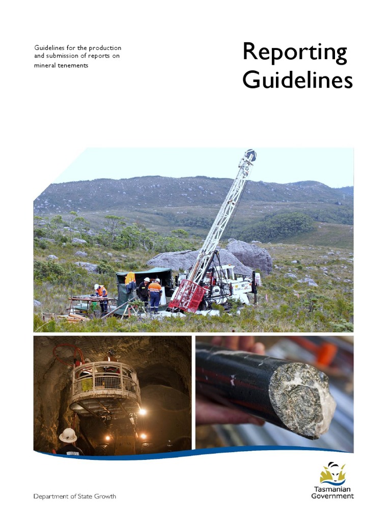 Reporting Guidelines - March 2020 | PDF | File Format | License