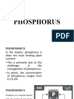 Phosphorus