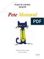 Proiect Did Pete Motanul - Vian Ioana-Alexandra