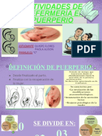 ACTIVIDADES DE ENFERMERIA EN PUERPERIO-CARTILLA VIRTUAL (QuispeFloresPaolaAlison)