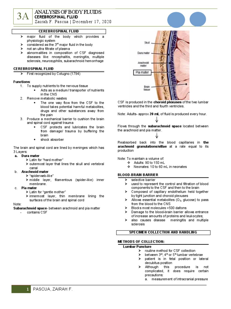 Cerebrospinal Fluid Analysis Guide | PDF | Cerebrospinal Fluid | Meningitis