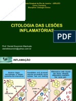 Aula Citologia Inflamatória