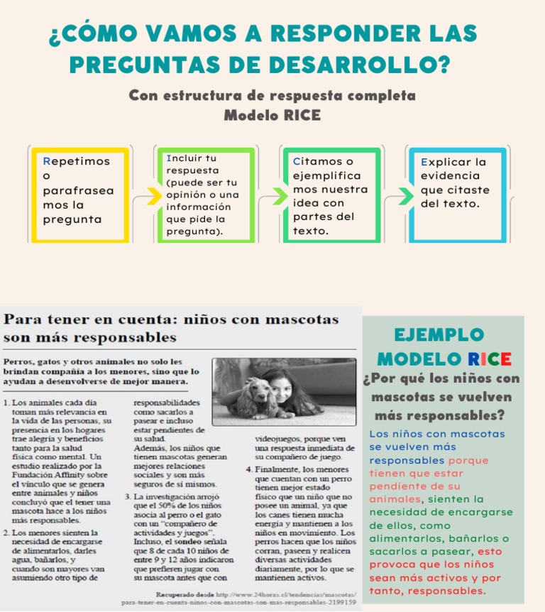 Modelo RICE para Respuestas en Lenguaje | PDF | Salud y bienestar