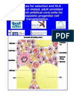 Stem Cell Donor Selection Guidelines V2012 - 13