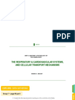 Exercise Key Respiratory and Circulatory