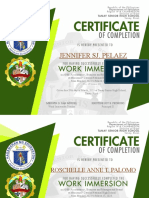 Immersion Certificates
