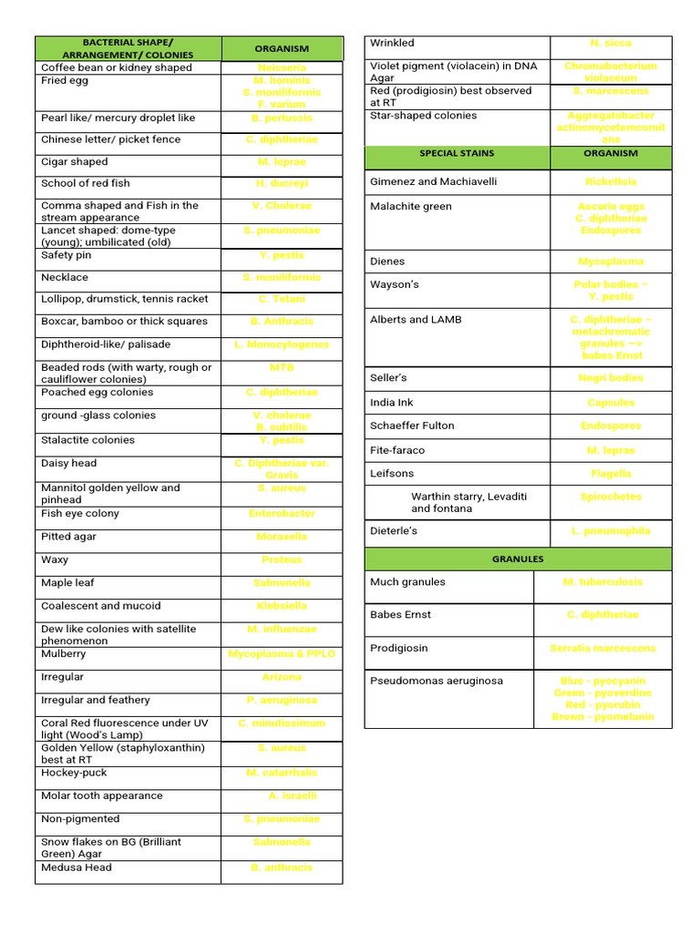 Bacteria Characteristic Notes | PDF | Prokaryote | Medical Specialties