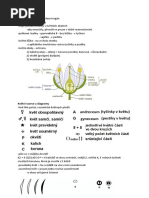 Stavba-Kvetu Final | PDF