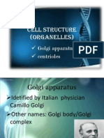 Cell Structure (Organelles) : Golgi Apparatus Centrioles