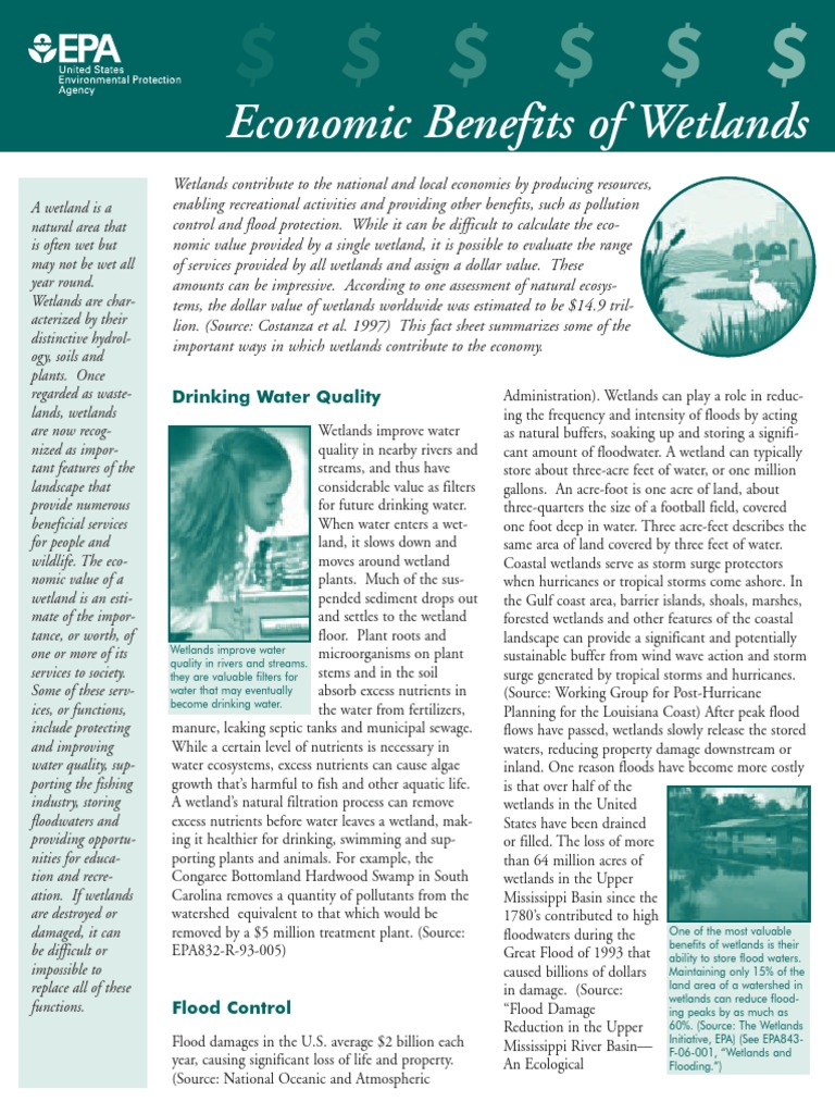Environmental Benefits Of Wetlands