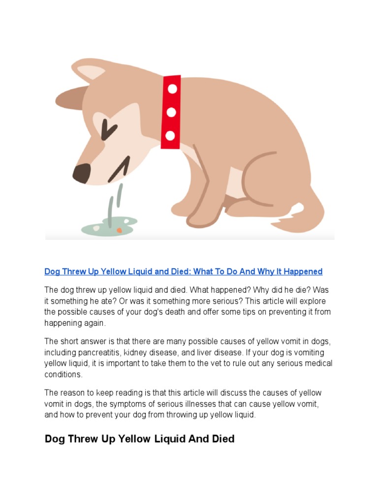 Dog Threw Up Yellow Liquid and Died What To Do and Why It Happened