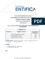 Informe - La Celula Eucariota y Procariota