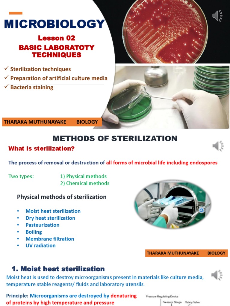 Lesson 2 Basic Laboratory Techniques in Microbiology PDF