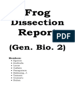 Frog Dissection Report