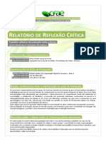 Relatório de Reflexão Crítica - Álvaro Ferreira
