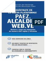 Volante Registro Paez