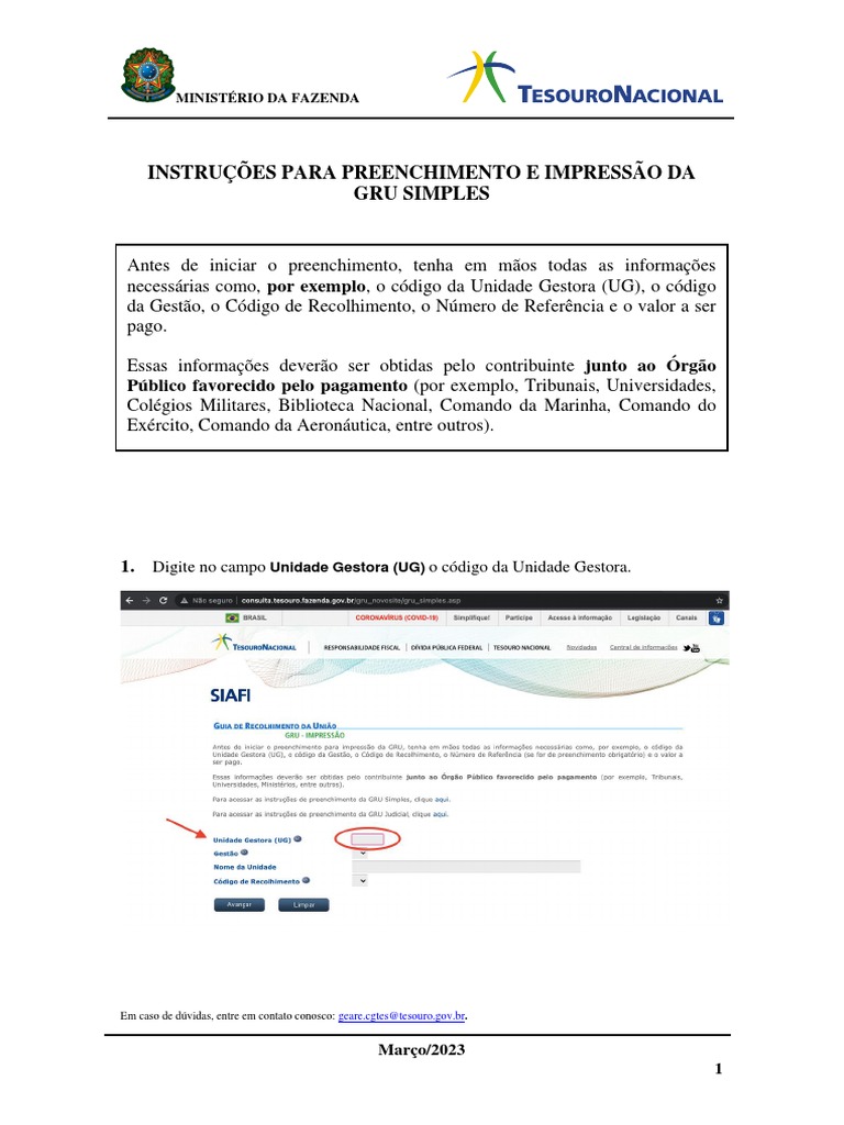 Instrucoes Preenchimento GRU | PDF