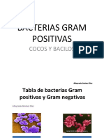 Bacterias Gram Positivas