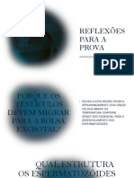 Reflexões para A Prova