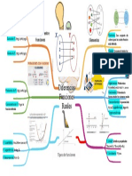 Mapa Mental - Diferencias Funciones Reales