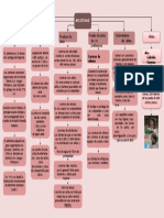 Mapa Conceptual Del Atletismo 3