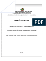 Relatório Parcial Horta Eesm Pontal Do Araguaia MT 2023