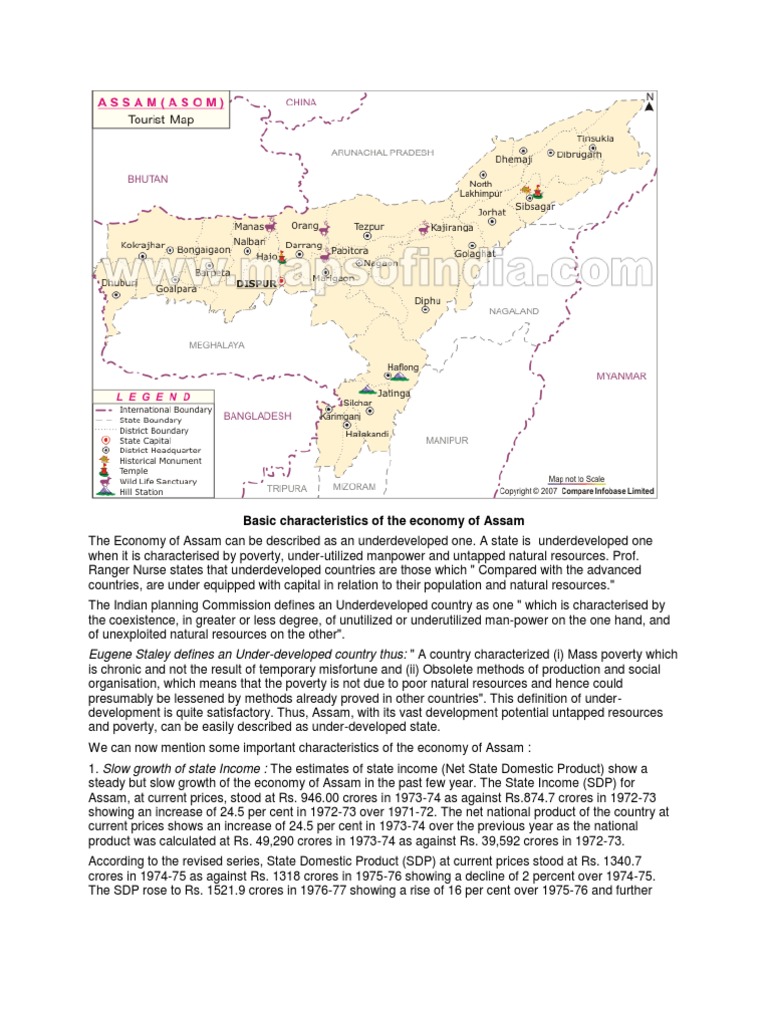Assam's Economic Challenges and Resources | PDF | Workforce | Economic ...