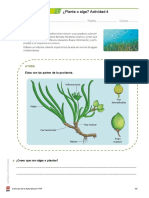 Refuerzo Tema 2 C. Naturales 2