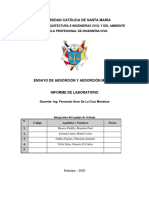 Informde de Absorcion