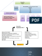 Apresentação Frigorifico PDCA