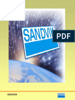 Sandvick 01