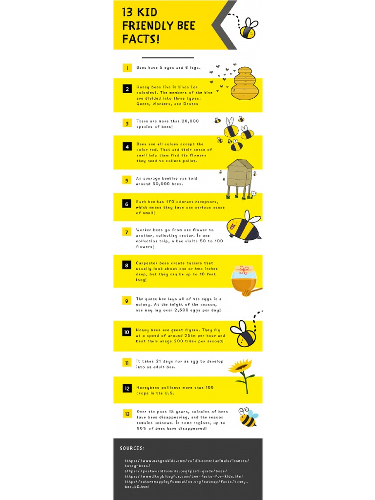 Bees Facts For Kids New - PNG | PDF