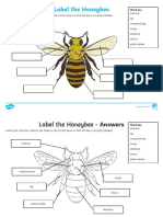 Label A Honeybee