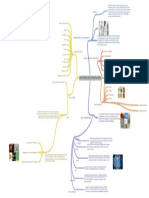 Mapa Mental de La Parasitologia