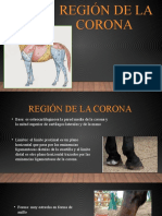 Región de La Corona