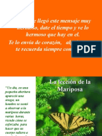 Enseñanza Del Desarrollo de Una Mariposa