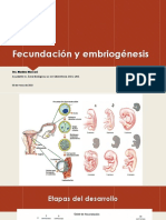 Clase Fecundación y Embriogénesis 030523