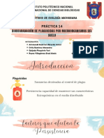 Práctica 14. Biodegradación de Plaguicidas Por Microorganismos Del Suelo