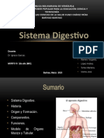 MFH 04 - Tema 10, Parte 01 - Sistema Digestivo, Generalidades