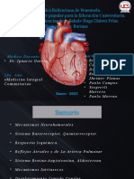 MFH 04 - Tema 05, Parte 01 - Regulación de La Presión Arteria