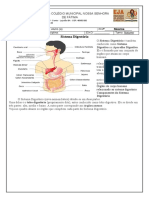 1 - Sistema Digestório - Eixo V - Ciências