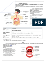 1 - Sistema Digestório - Eixo V - Ciências